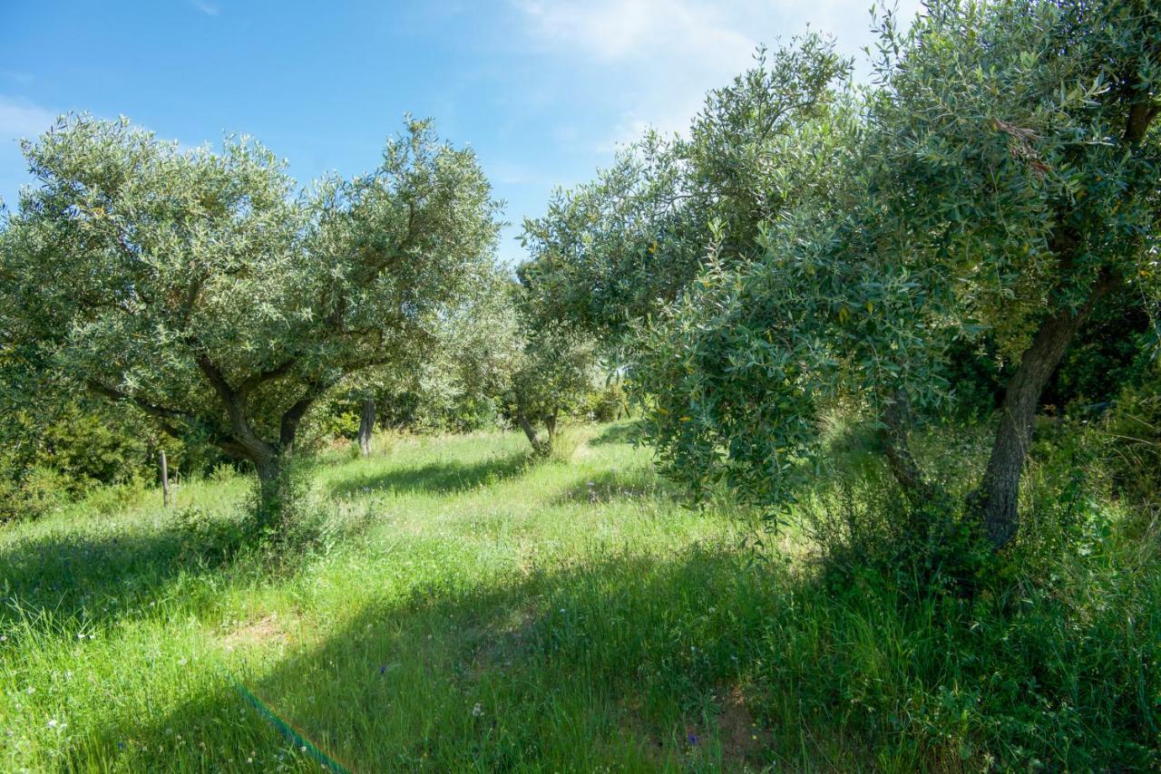 Avaton Farm Villa Ouranoupoli Luaran gambar